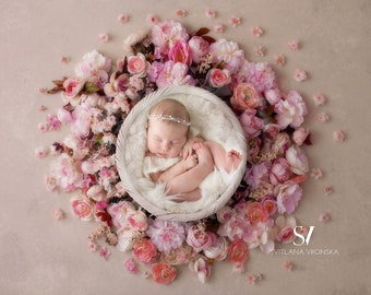 Digital Backdrop Newborn Girl Pink Floral Backdrop, Newborn Bowl Digital Photo Prop, Newborn Digital Background Girl Prop, Floral Busket