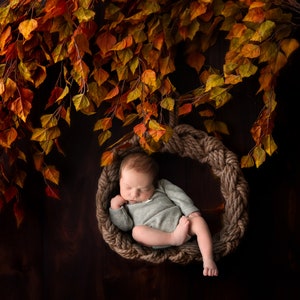 Newborn Digital Backdrop Hanging Swing Autumn/Fall Backdrop for Newborn Photography, Newborn Digital Background, Autumn Colors Hanging Tree
