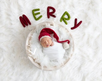 Newborn Digital Backdrop Merry Christmas Newborn Digital Background