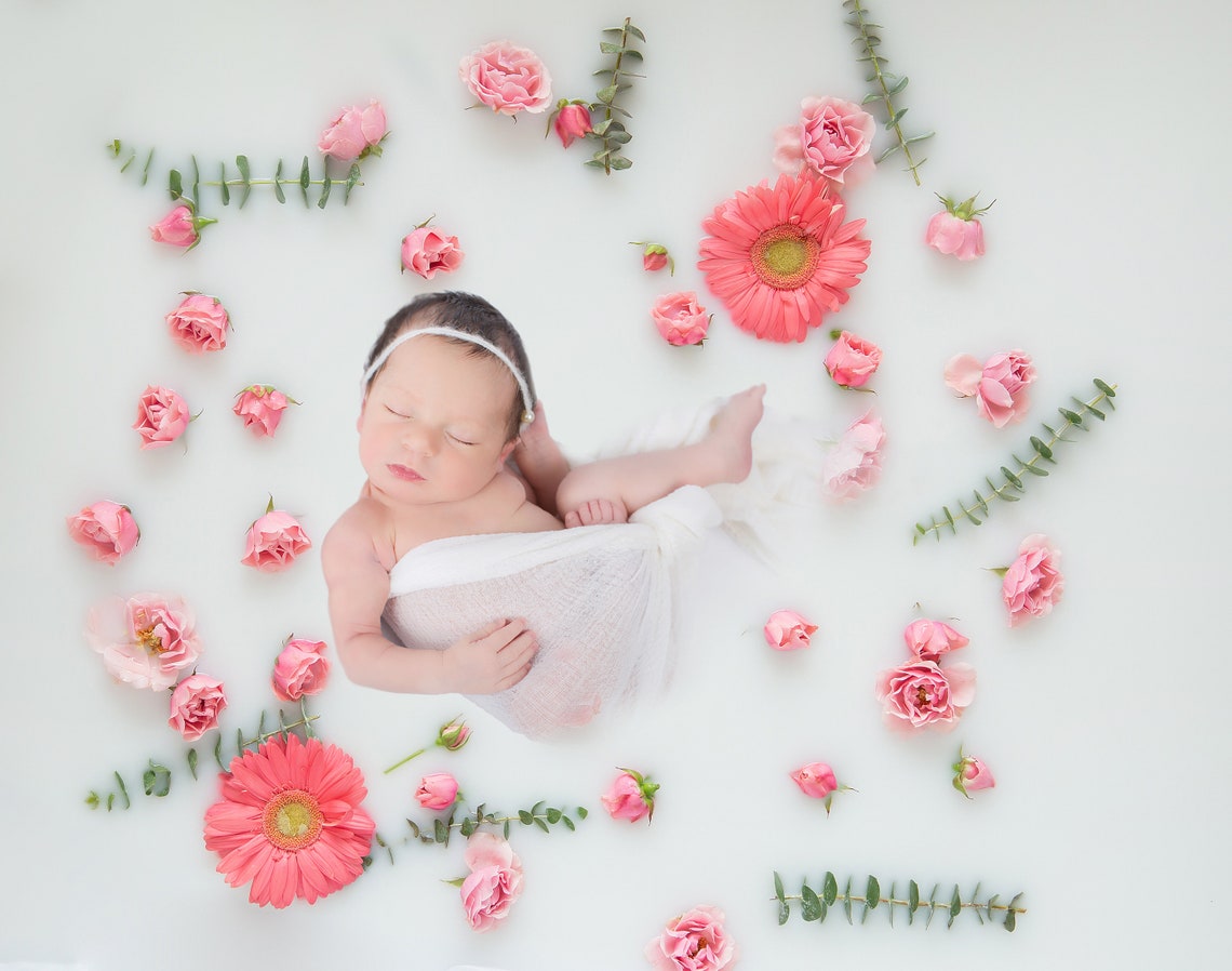 Fresh Flowers Milk Bath Newborn Digital Backdrop Floral Milk | Etsy