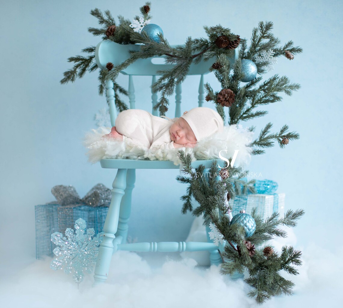 Newborn Digital Backdrop Winter Theme Backdrop for Newborn - Etsy