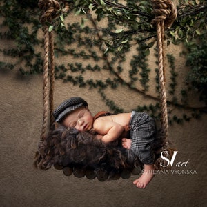 Newborn Digital Backdrop Wooden Swing Prop Newborn Digital Background