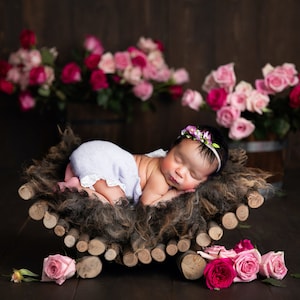 Newborn Digital Backdrop Digital Wooden Prop/Hammock Newborn Digital Background , Pink Roses Backdrop