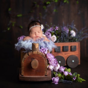 Newborn Digital Background Flower Train for Baby Girl Newborn Photo Prop, Newborn Digital Backdrop, Newborn Photography Composite Digital