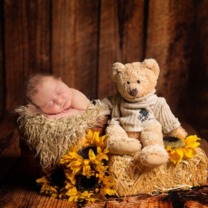 Newborn Digital Backdrop, Digital Backdrops for newborn photography, digital prop for newborn photography