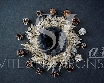 Digital Backdrop Newborn Nest with Pinecones Newborn Digital Background for Newborn Photography