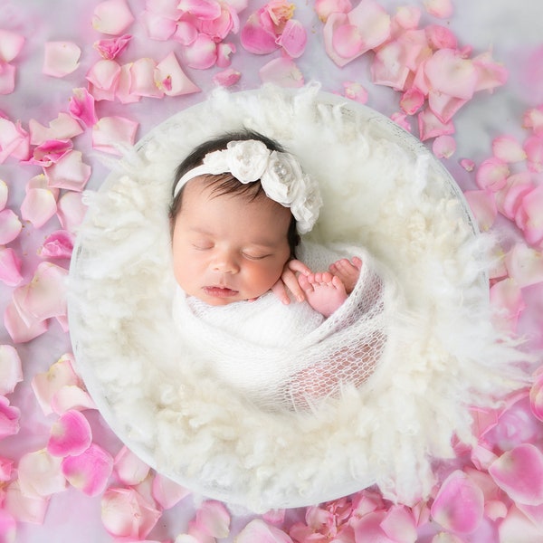 Newborn Digital Backdrop, Rose Collection Newborn Digital Background for Digital Composite in post-processing High res jpeg file