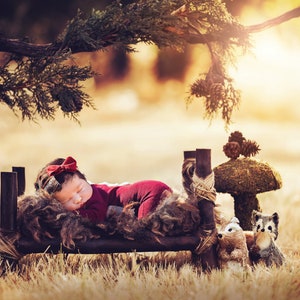Newborn Digital Backdrop Outdoor Woodland Backdrop, Newborn Digital Background Newborn Prop Wooden Bed Digital OutdoorBackdrop