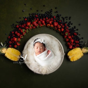 Newborn Digital Backdrop Sweet newborn Photography Backdrop Berry Backdrop Newborn Digital Background