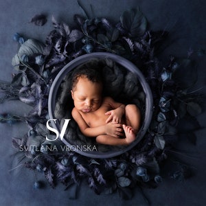 Digital Background Boy Newborn Digital Backdrop, Shalky Blue Dream Nest newborn Photo Prop Digital, Newborn Photography