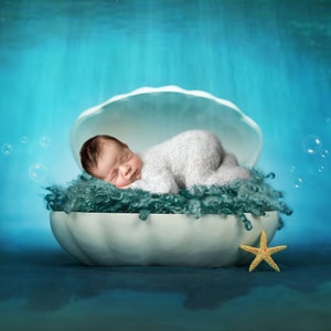 Beautiful Underwater Pearl Clam Shell With Sunrays Newborn Digital ...