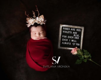 Newborn Digital Backdrop Pink Rose on a Dark Backdrop Newborn Digital Background