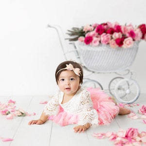 Digital Backdrop for Infants and Toddlers Digital Background Clean White Look with Rose Flowers, Girl Digital Backdrop