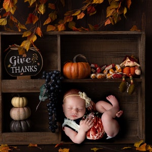 Digital Backdrop Newborn Digital Background Autumn Backdrop with Hanging Orange Leaves, Newborn Fall Season Backdrop Digital Download