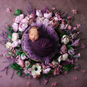 Digital Backdrop Newborn Girl Digital Background, Earthy Tones Purple Floral Wreath Prop for Newborn Photoshop Composite, Digital Prop