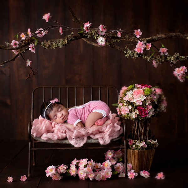 Newborn Digital Backdrop, Sweet Dream under a Branch, Newborn Digital Background, Bed Prop with Pink Flowers High Res jpeg file