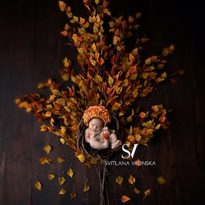 Autumn Tree with a Nest and Falling Leaves newborn Digital Backdrop, Fall Backdrop, Newborn Photography Digital Background