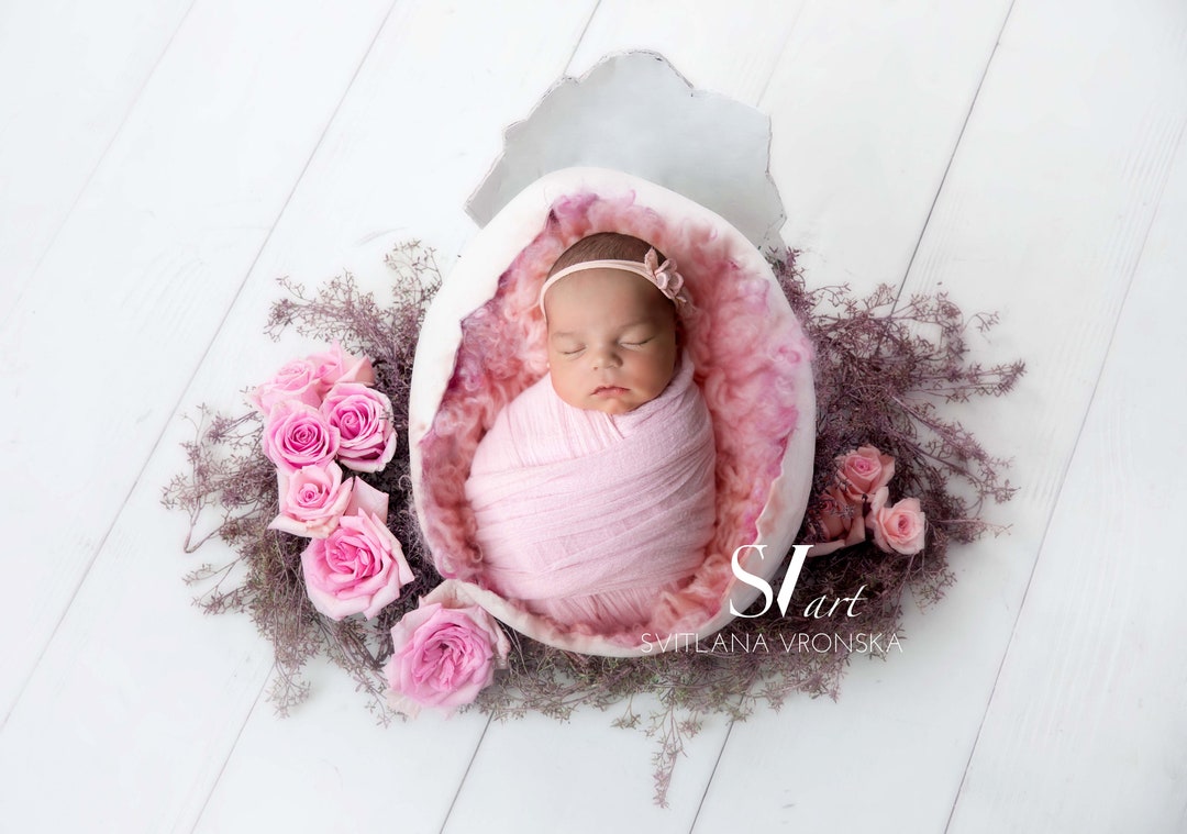 Floral Egg Shell Newborn Digital Backdrop Digital Egg Prop Newborn ...