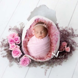 Pode incluir: Uma recém-nascida está dormindo pacificamente em um adereço rosa em forma de ovo, cercada por rosas cor-de-rosa e flores secas. A bebê está usando uma faixa de cabeça rosa e está enrolada em um cobertor rosa.