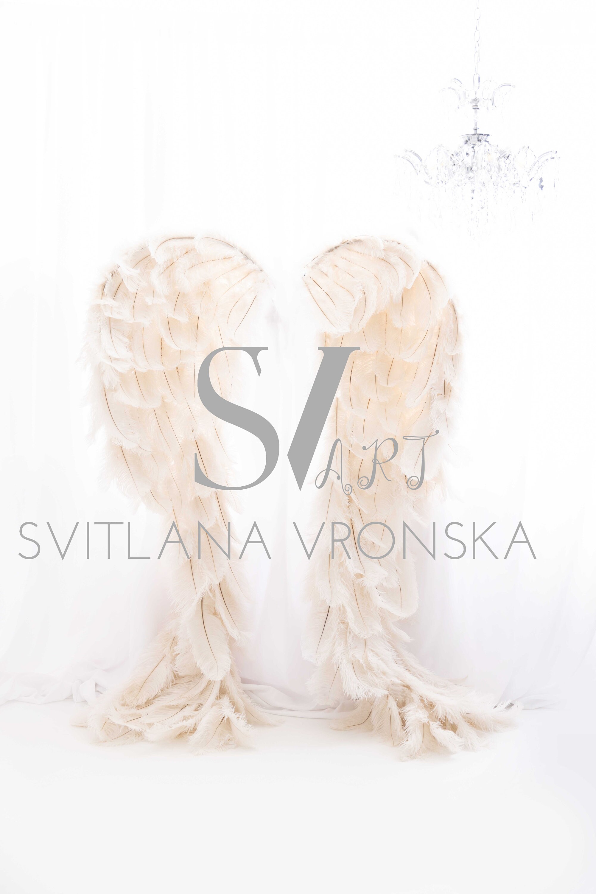 Digital Backdrop Angel Wings Digital Background for Maternity ...