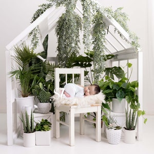 Neugeborene Digitale Kulisse Gemütliches Pflanzenzimmer, Gewächshaus Kulisse Neugeborenen Digitaler Hintergrund Neugeborene Foto Kulisse Botanisches Gartenhaus