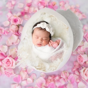 Nouveau-né Digital Backdrop, Digital Newborn Egg Prop with Roses around, Newborn Digital Background Rose Collection High res jpeg fichier