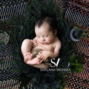 Newborn Digital Backdrop Newborn Photography Composite Newborn Digital Background Newborn Photography Backdrop