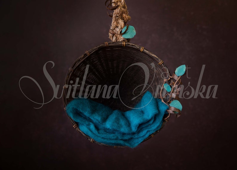Newborn Digital Backdrop Newborn Boy Digital Background Hanging Natural Nest Digital Overlay for Boys and Girls