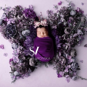 Newborn Digital Backdrop Floral Butterfly Purple Newborn Digital Background, Newborn Photography Prop, Flower Butterfly Prop