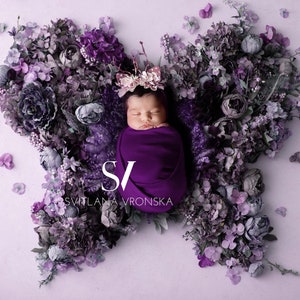 Pasgeboren digitale achtergrond Floral Butterfly Purple Pasgeboren Digitale Achtergrond, Pasgeboren Fotografie Prop, Flower Butterfly Prop