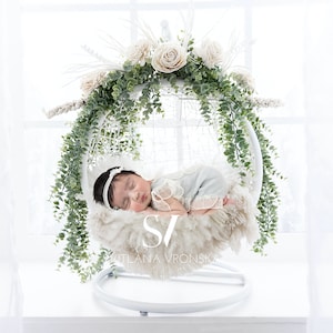 Newborn Digital Backdrop Beautiful Floral Swing on a Backlit French Window Newborn Digital Background