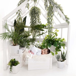 Newborn Digital Backdrop Greenhouse Covered in Light Newborn Digital Background Newborn Photography Green House Scene