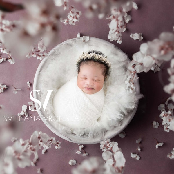 Newborn Digital Backdrop Newborn Digital Background Hanging Flowers on a Purple Background Newborn Photo Composite Overlay