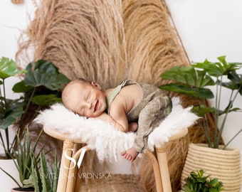 Newborn Digital Backdrop Newborn Digital Background Newborn Photography Backdrop BOHO Style