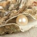 pearlofworthjewelry