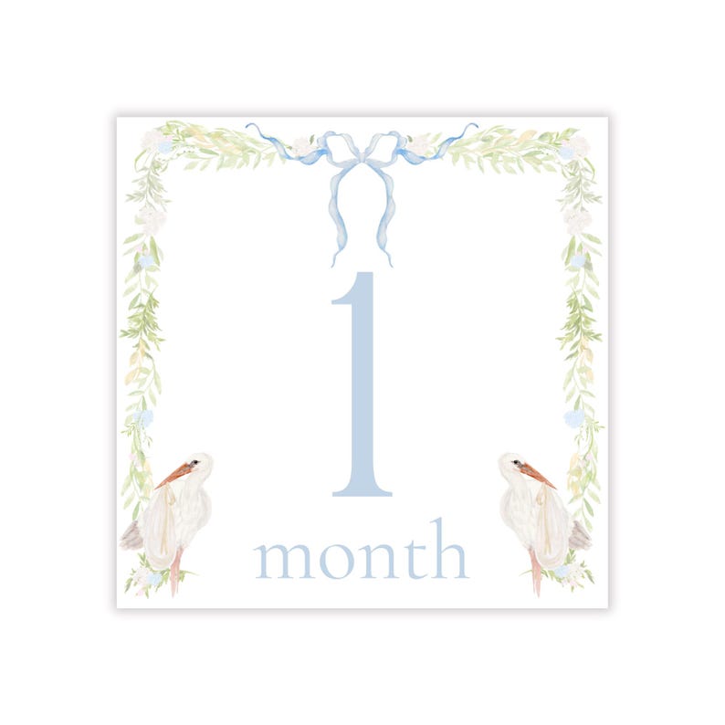 Baby Milestone Cards, Stork Milestone Cards, Baby Boy Milestone Cards ...