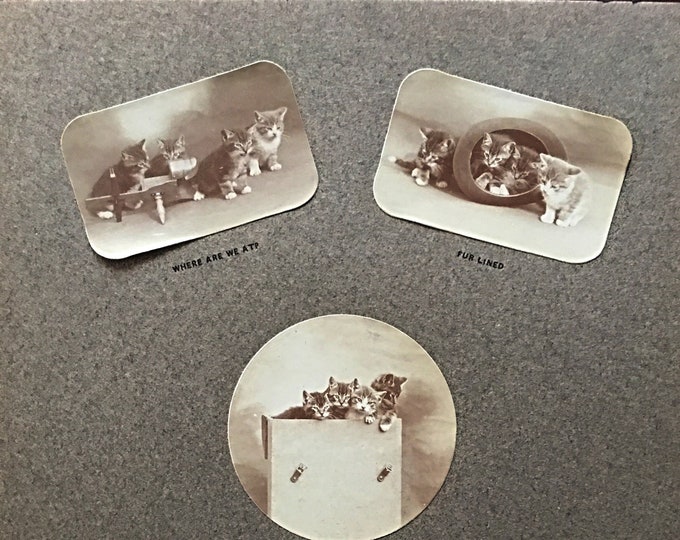 Vintage 1900 Catskill "CATS" Souvenir - Antique Catskill Mountains Vintage Photograph Souvener - a very rare Catskill Collectible