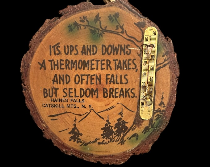 Vintage Catskill Mountains Souvenir Wood Plaque - Haines Falls