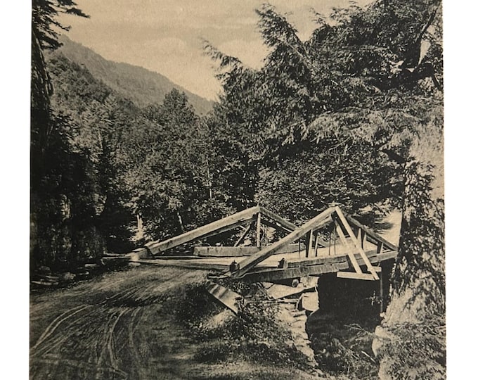 Vintage Kaaterskill Close Postcard of Moore's Bridge, Catskill Mountains