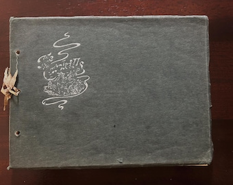 Vintage Catskill Mountains Souvenir Book - "Choice Bits of Scenery in the Catskills" - circa 1900 - Palenville NY, Catskill NY,
