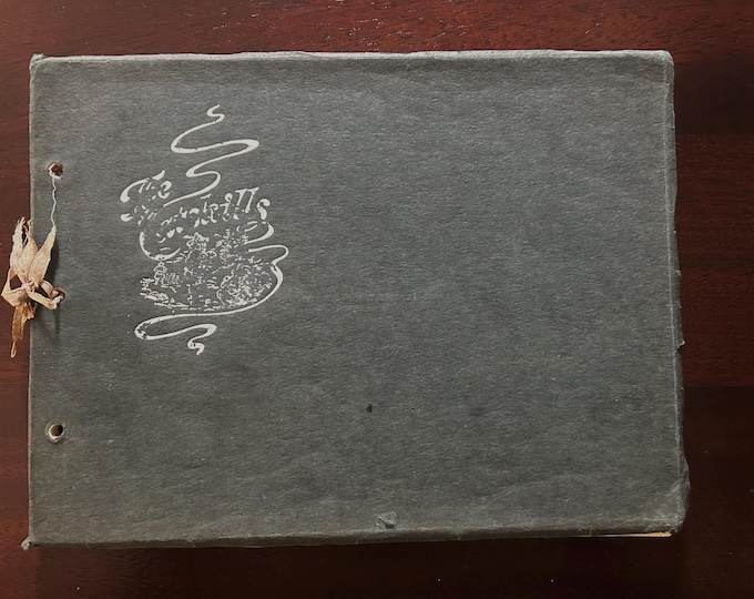 Vintage Catskill Mountains Souvenir Book - "Choice Bits of Scenery in the Catskills" - circa 1900 - Palenville NY, Catskill NY,