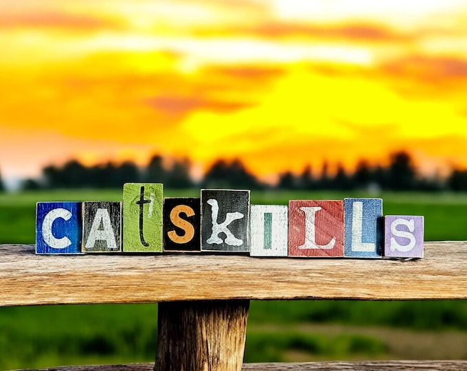 CATSKILLS individual wood letter blocks  - hand made and hand painted  from Reclaimed Barn wood in the Catskill Mountains  - 9 Blocks