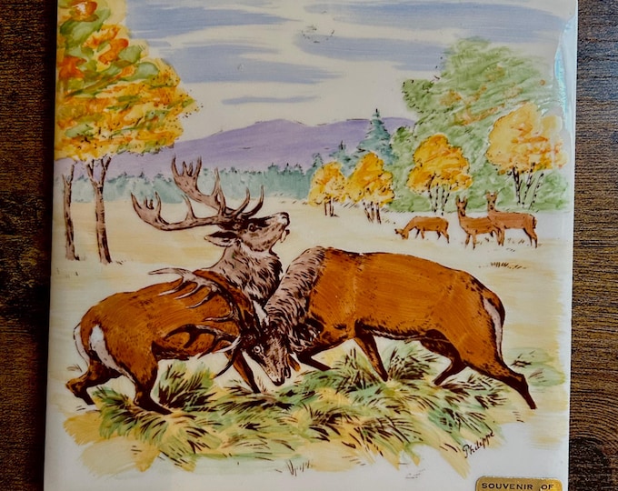 Vintage Catskill Game Farm Ceramic Tile - Trivet  Souvenir - Catskill Mountains Collectible