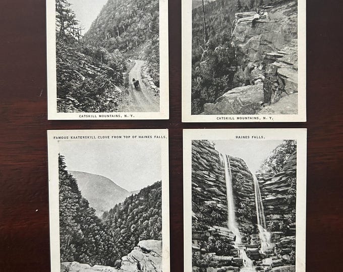 Vintage Souvenir Photos of the Catskill Mountains - 20 Images- Circa 1910