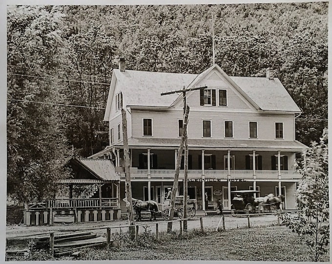 The Palenville Hotel - Reproduction of orginal glass negative from the Library of Congress - Catskill Mountains  NY - Vintage Memorabilia
