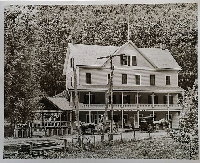 The Palenville Hotel Reproduction of orginal glass negative from the Library of Congress Catskill Mountains NY Vintage Memorabilia image 1