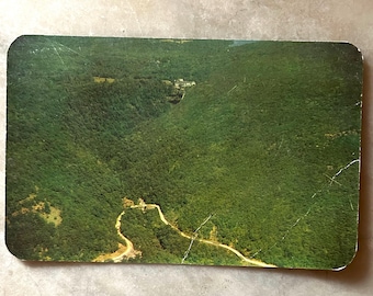 Vintage Catskill Mountains Postrcard - RARE - Kaaterskill Falls, The Laurel House  and the Horseshoe Curve along the Rip Van Winkle Trail