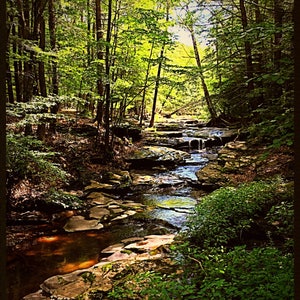 Creek in the Catskills  - Kiskatom Brook, Round Top, NY - 8X10 Print from orginal photograph by Tom Illari - Catskill Mountains - Catskill