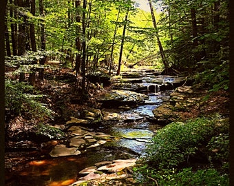 Creek in the Catskills  - Kiskatom Brook, Round Top, NY - 8X10 Print from orginal photograph by Tom Illari - Catskill Mountains - Catskill