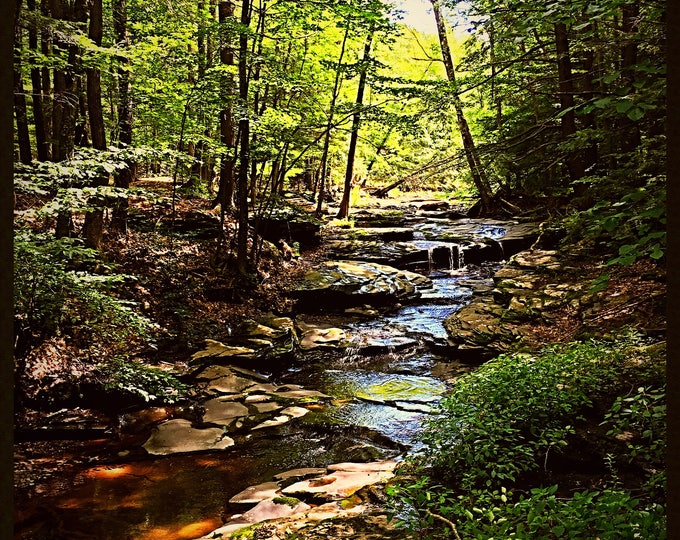Creek in the Catskills  - Kiskatom Brook, Round Top, NY - 8X10 Print from orginal photograph by Tom Illari - Catskill Mountains - Catskill